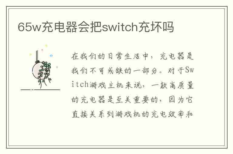 65w充电器会把switch充坏吗